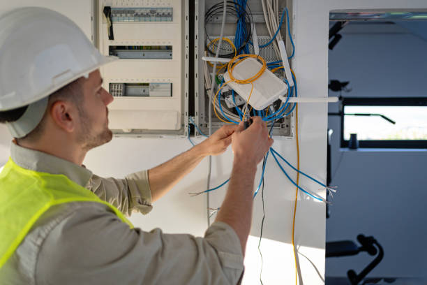 Best Electrical System Inspection  in Royalton, IL